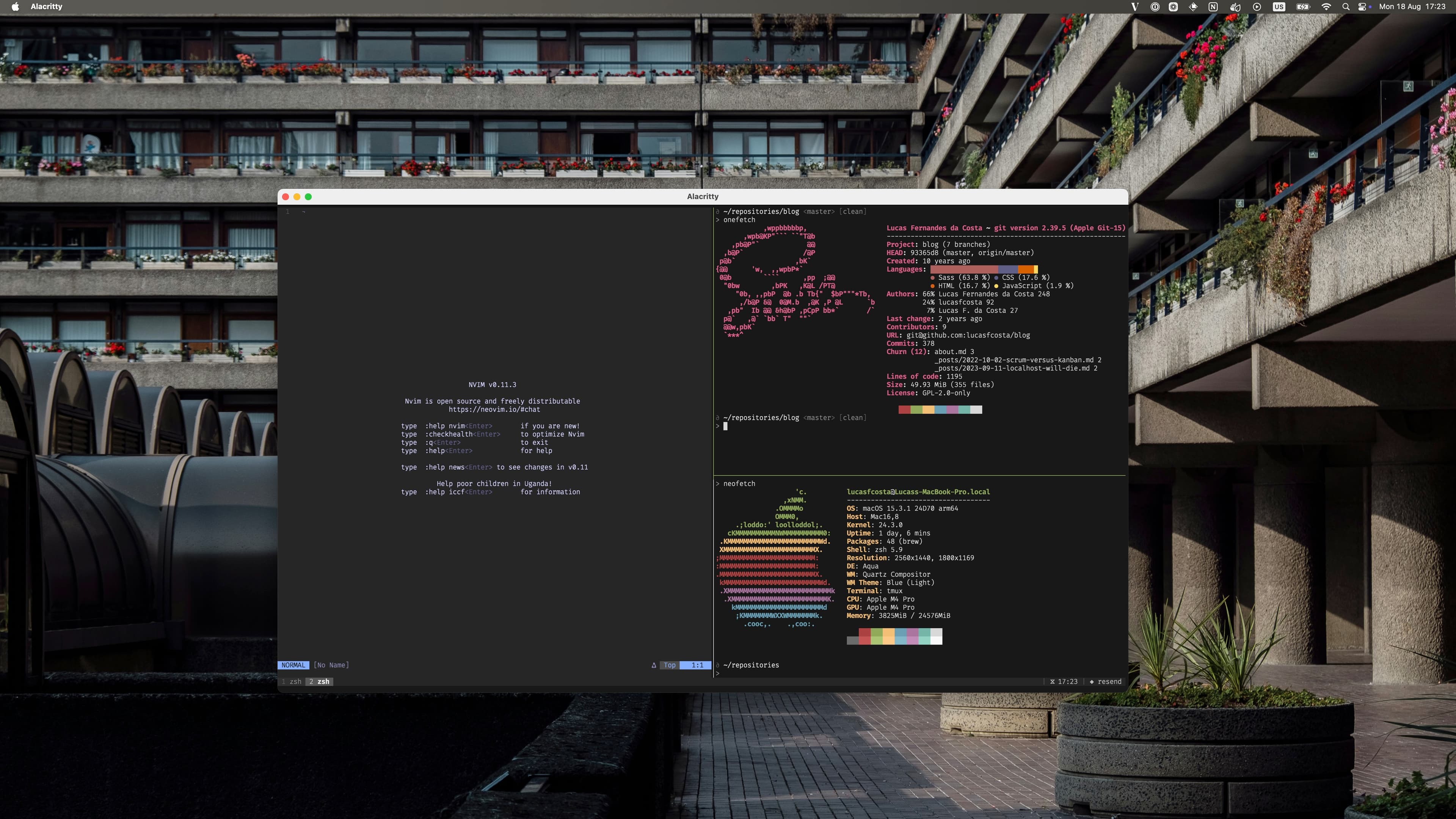 I use a picture of The Barbican Centre as my wallpaper, and I mostly live in the terminal